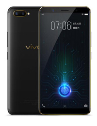 VIVO X21